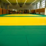IPU・環太平洋大学TOP GUN道場のメイン畳エリア（広角） ipu judo facility top gun dojo main area